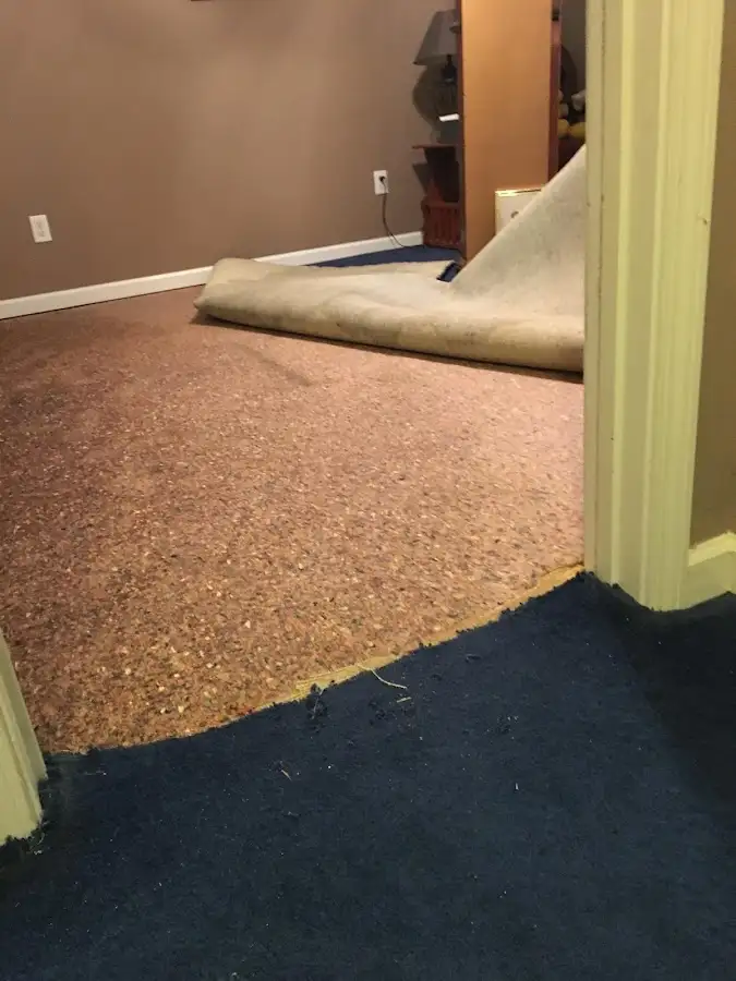 Carpet pad removal revealing water damage during Drying & Dehumidification in Willard